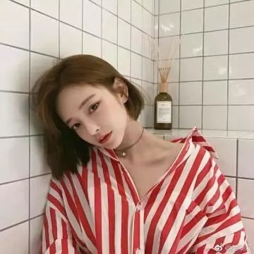 相思树