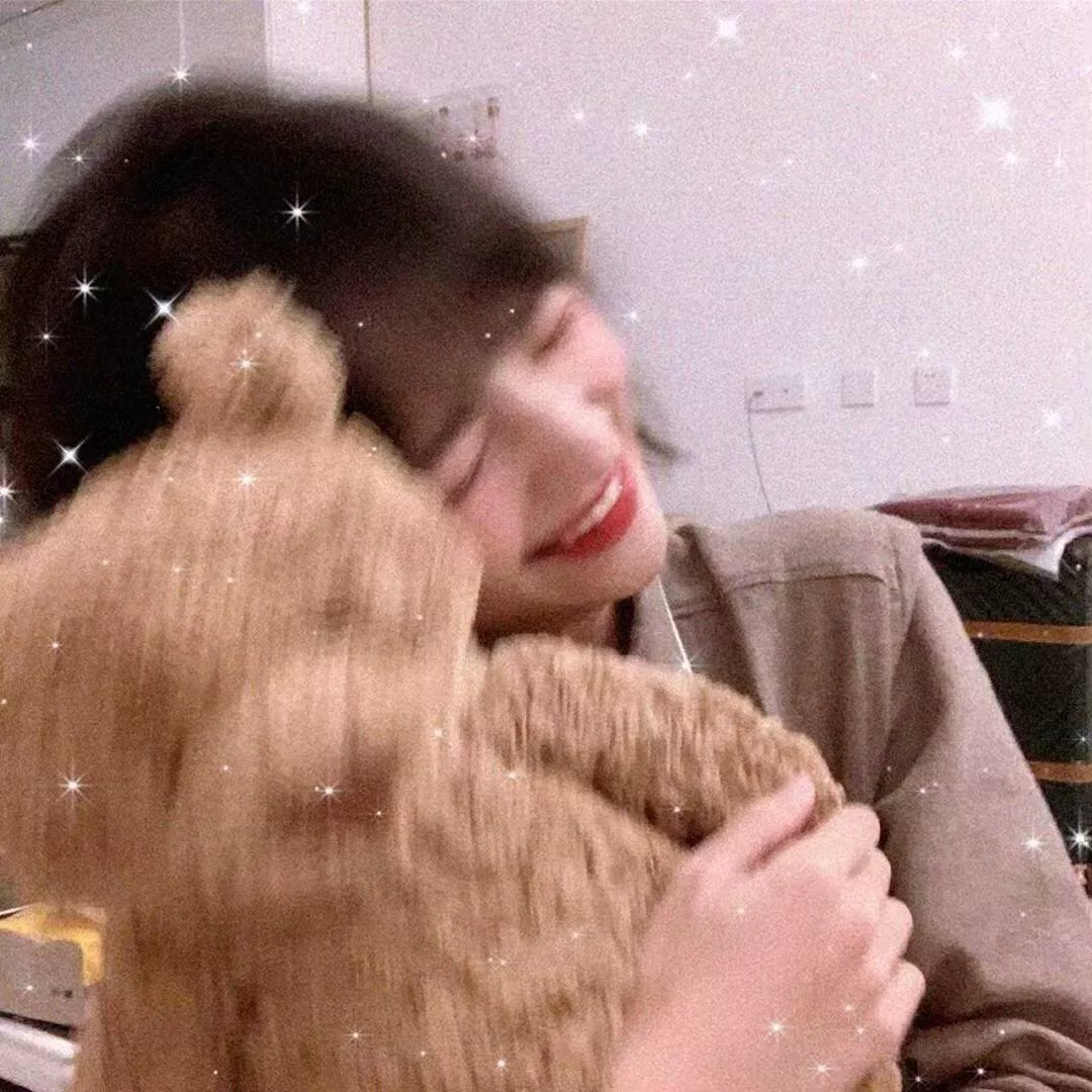 国土安全第四季